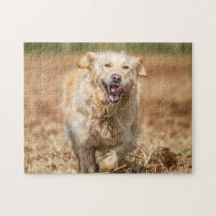 Golden Retriever Jig Saw Puzzle Legpuzzel