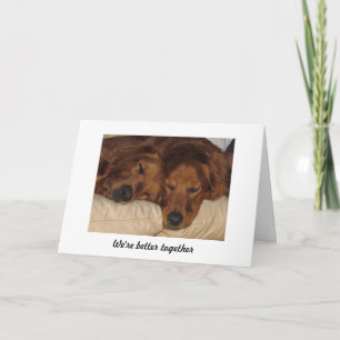 Golden Retriever Jubileum Kaart, beter samen Kaart