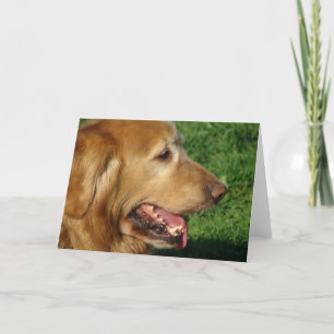 Golden Retriever Kaart