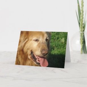 Golden Retriever Kaart