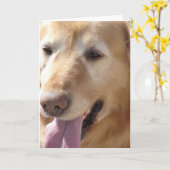 Golden Retriever Kaart (Gele Bloem)