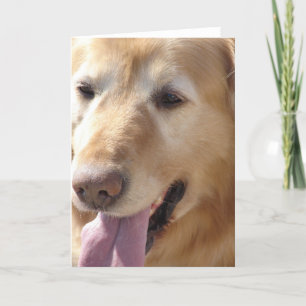 Golden Retriever Kaart