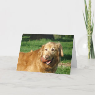 Golden Retriever Kaart