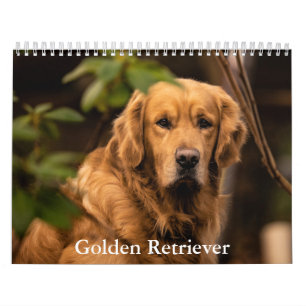 Golden Retriever Kalender