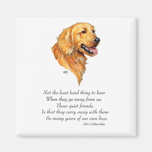 Golden Retriever Keepomwille Magneet