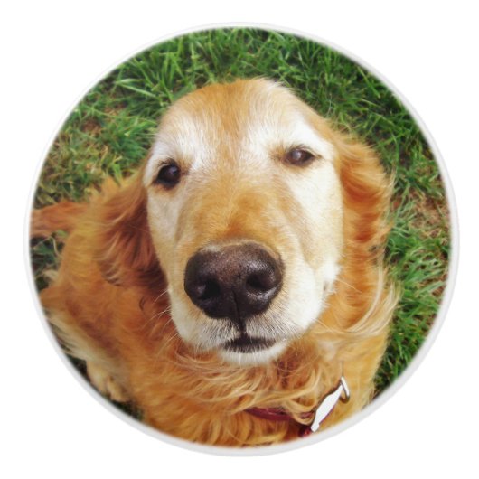 Golden Retriever Keramische Knop (Voorkant)