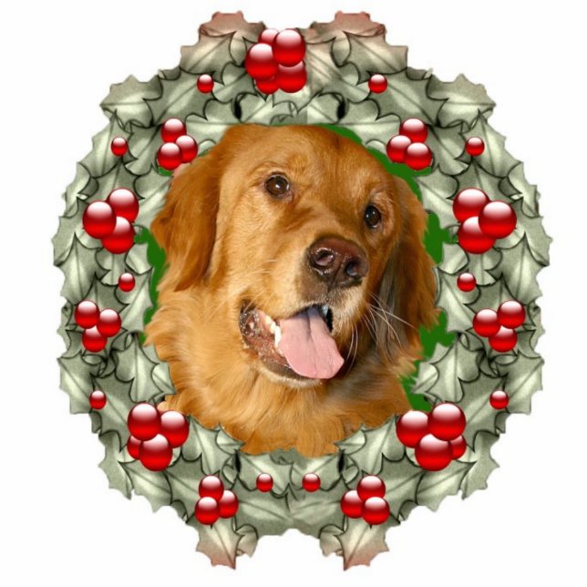 Golden Retriever Kerstmis Fotobeeldje Ornament (Voorkant)
