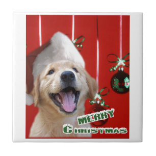 Golden Retriever Kerstmis Tegeltje