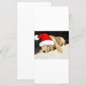 Golden Retriever kerstpuppy (Voorkant / Achterkant)