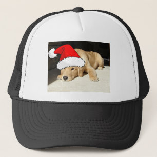Golden Retriever kerstpuppy Trucker Pet