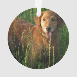 Golden Retriever kerstversiering Ornament