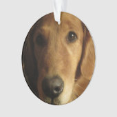 Golden Retriever kerstversiering Ornament (voorkant)