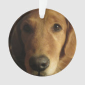Golden Retriever kerstversiering Ornament (voorkant)