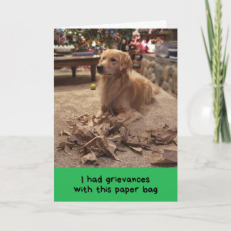 Golden Retriever Klaagt Zijn Grieven Aan Tijdens D Kaart