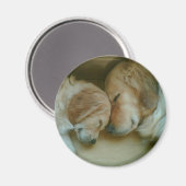 Golden Retriever Koelkast Magnet Magneet (Voorkant / Achterkant)