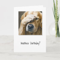 Golden Retriever krijgt oudere Humor