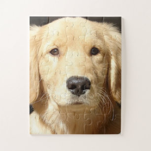 Golden Retriever Legpuzzel