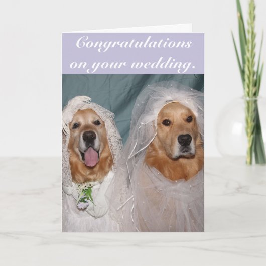 Golden Retriever Lesbian Brides Wedding Kaart (Voorkant)
