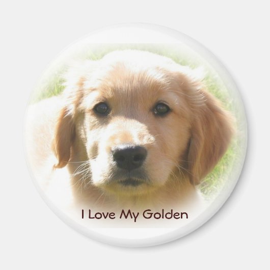 Golden Retriever Love Magneet (Voorkant)