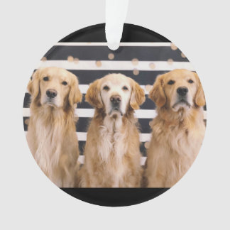 Golden Retriever Love Ornament