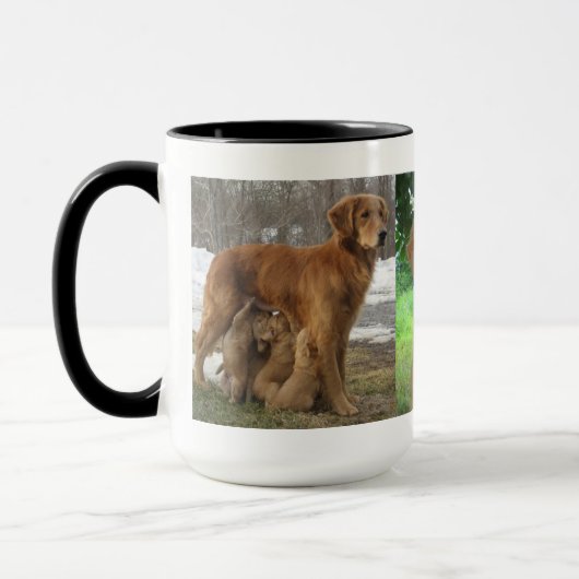 Golden Retriever Lovely Lady Mok (Links)