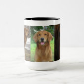 Golden Retriever Lovely Lady Mok (Midden)