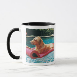 Golden Retriever Lying on a Air Bed in a Mok