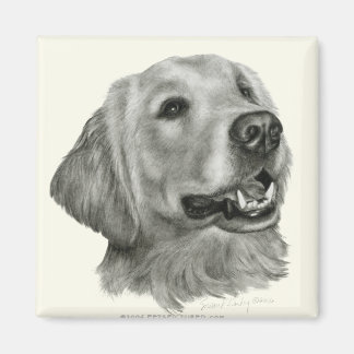 Golden Retriever Magneet
