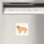 Golden Retriever Magneet (Insitu (Vaatwasser))