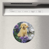 Golden Retriever Magnet Hydrangea Magneet (Insitu (Vaatwasser))