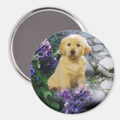 Golden Retriever Magnet Hydrangea Magneet (Voorkant / Achterkant)