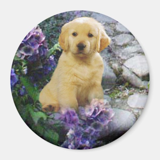 Golden Retriever Magnet Hydrangea Magneet (Voorkant)