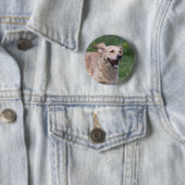 Golden Retriever met 1 Ronde Button 5,7 Cm (In situ)
