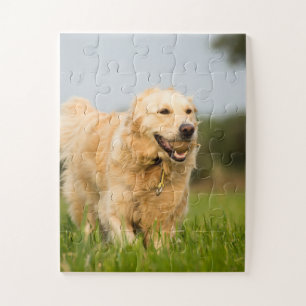Golden Retriever met Ball Legpuzzel