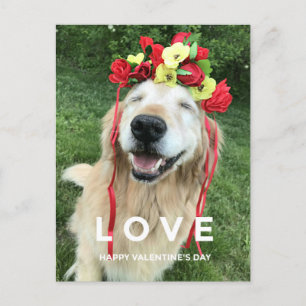 Golden Retriever met bloeiende Valentijnsdag Feestdagenkaart