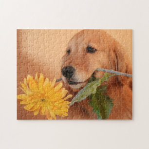 Golden Retriever met blote puzzle Legpuzzel