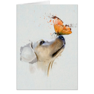 Golden Retriever met een vlinder op zijn neus