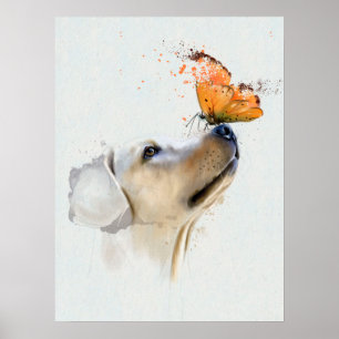 Golden Retriever met een vlinder op zijn neus Poster