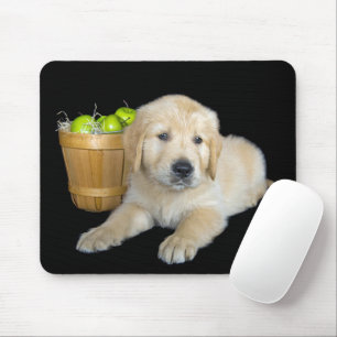 Golden Retriever met groene appels Muismat