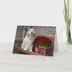 Golden retriever met Halloween Pumpkin Planter Kaart