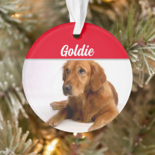 Golden Retriever met naam en foto met Kerstmis Ornament