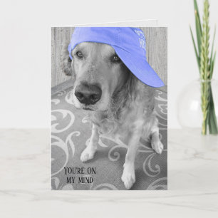Golden Retriever met paars pet Kaart