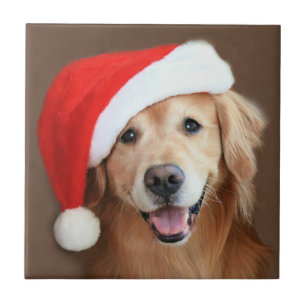 Golden Retriever met Santa Hat Tegeltje