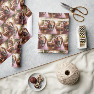 Golden Retriever met Tabby Kitten Cadeaupapier