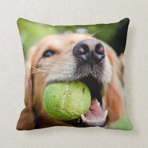Golden Retriever met Tennis Ball Kussen