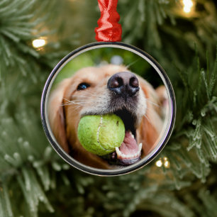 Golden Retriever met Tennis Ball Metalen Ornament