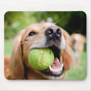 Golden Retriever met Tennis Ball Muismat