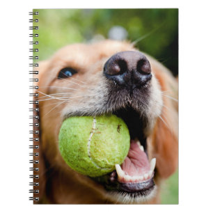 Golden Retriever met Tennis Ball Notitieboek
