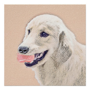 Golden Retriever met Tennis Ball-schilderkunst Perfect Poster