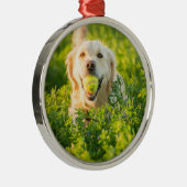 Golden Retriever Metalen Ornament (Rechts)